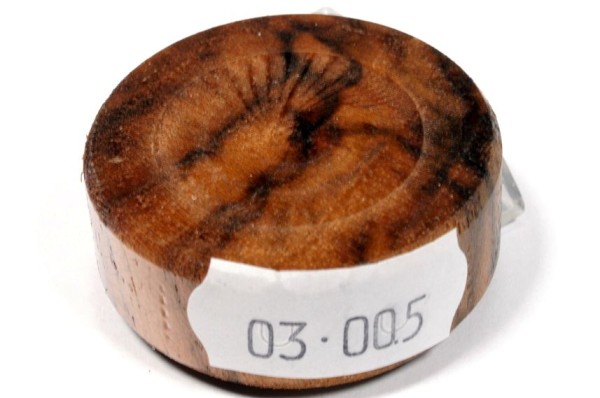 Blank aus Holz für Ring-Bausätze